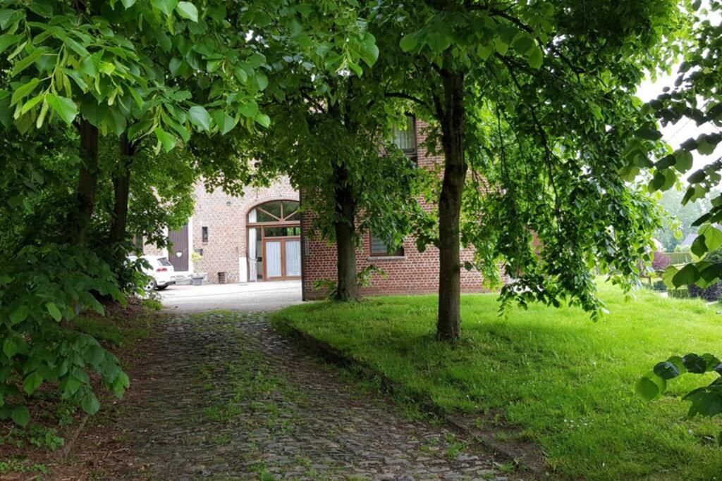 Appartement Isole, 1 Chambre Avec Terrasse Privee Ramillies Eksteriør billede